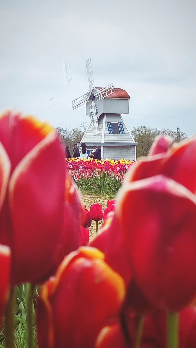 Imogen Negomi tweet media