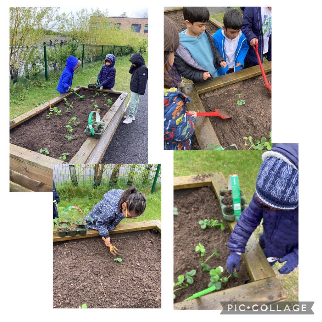 AFSPrimary's tweet photo. Year 1 Earth Day 🌎🌱🌸
Children had an amazing day celebrating Earth day. Children took part in litter picking, planting and writing a pledge to save the planet. What will you do to help our planet? #EarthDay24 #EarthDayEveryDay #avantiway #afsprimary https://t.co/USmfZybLvj