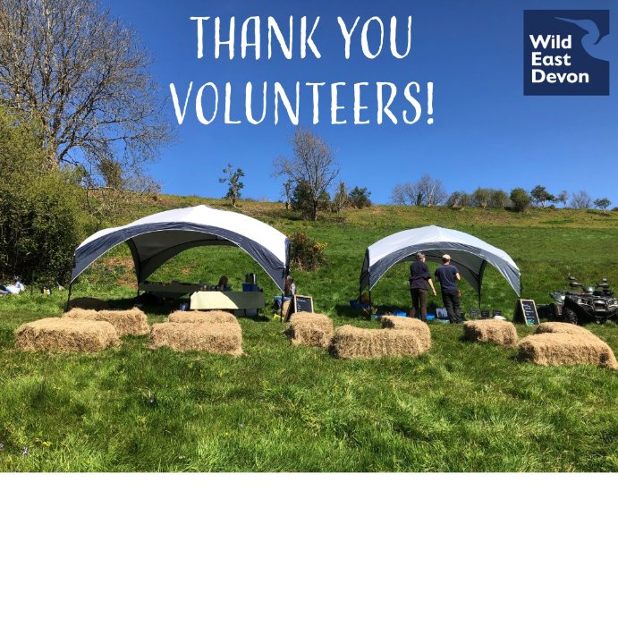 🙌🏼 Wild East Devon would like to thank all our volunteers for helping at our Bluebell Day event that we held at #holyfordwoods last Saturday. It was a fantastic and busy day. The sun came to greet us which we very much needed! I hope all who came along enjoyed the day 🤩