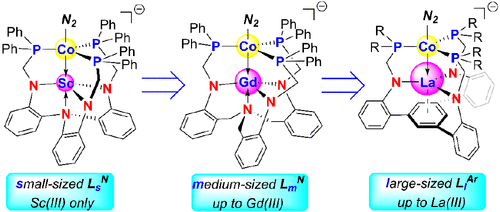 bhkenlo's tweet photo. Rare-Earth Metalloligands for Low-Valent Cobalt Complexes: Fine Electronic Tuning via Co→RE Dative Interactions | Inorganic Chemistry https://t.co/jp7VehmYml Fang, Cui, and co-workers @InorgChem #cobalt #rare_earth #metalloligands #electronic #tuning #dative https://t.co/fqLCL762Wd