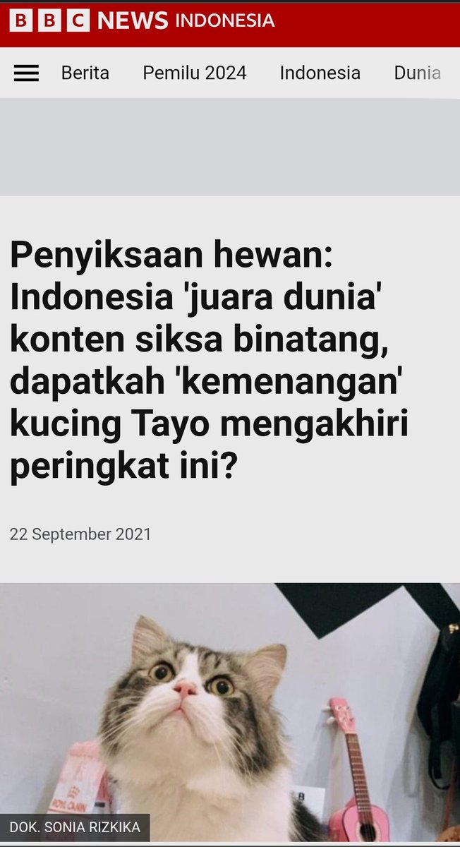 kukangku's tweet photo. @jellypastaa Semoga peringkat ini ga jadi tradisi yang dinormalisasikan sama netizen 62.
Ngeri lah. https://t.co/LArcT9e5HJ