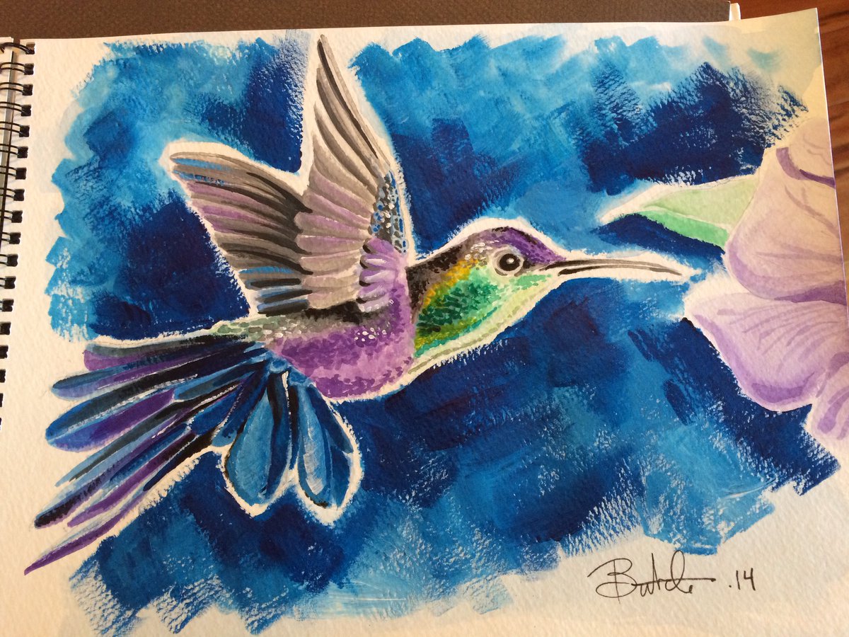 Watercolor #hummingbird #watercolor #butchhartmandraws