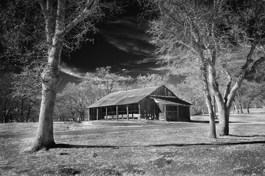 Woodland Barn Infrared - Shasta County California Prints and merch: buff.ly/49gx7qx #ruralamerica #oldbarn #ranching
