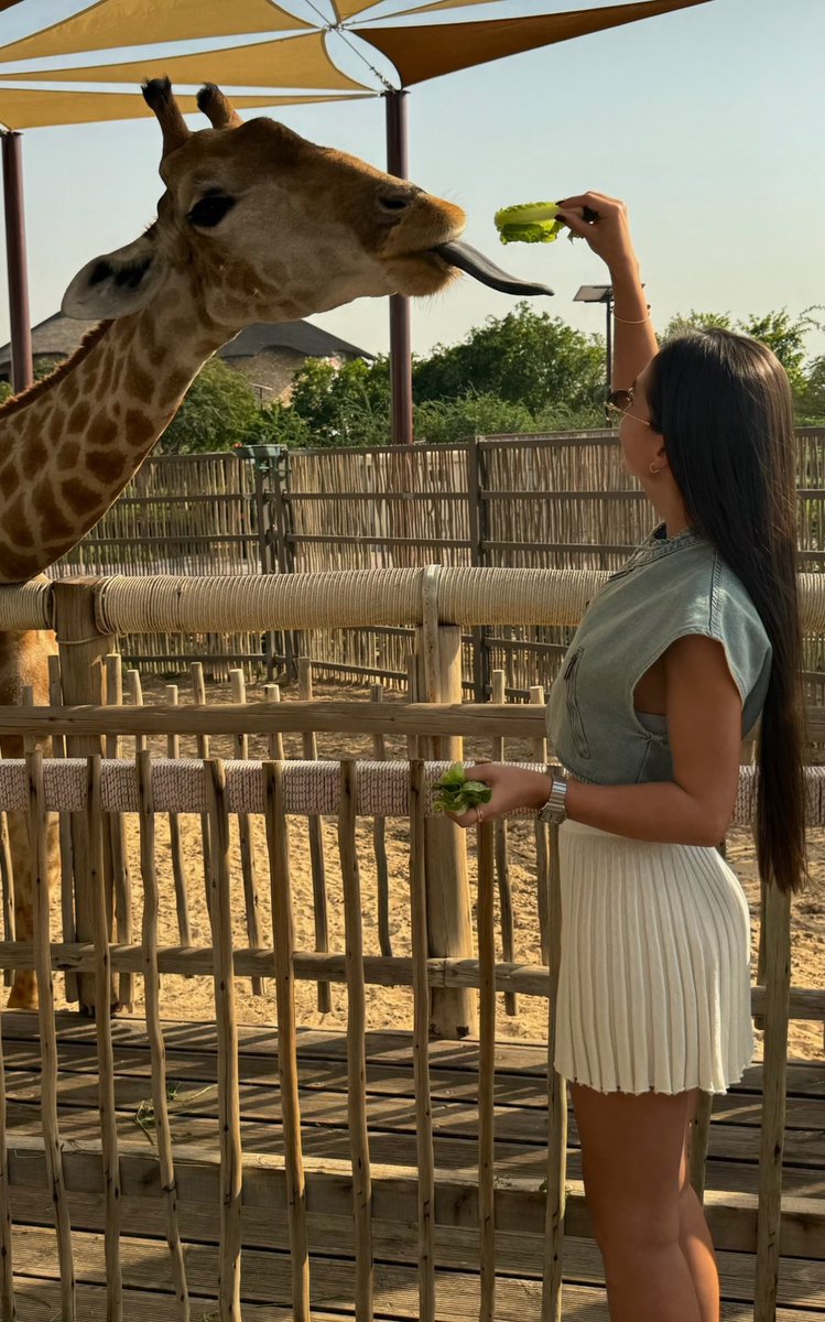 nenakprata's tweet photo. 🦒👅 https://t.co/5eUTVGPjRd