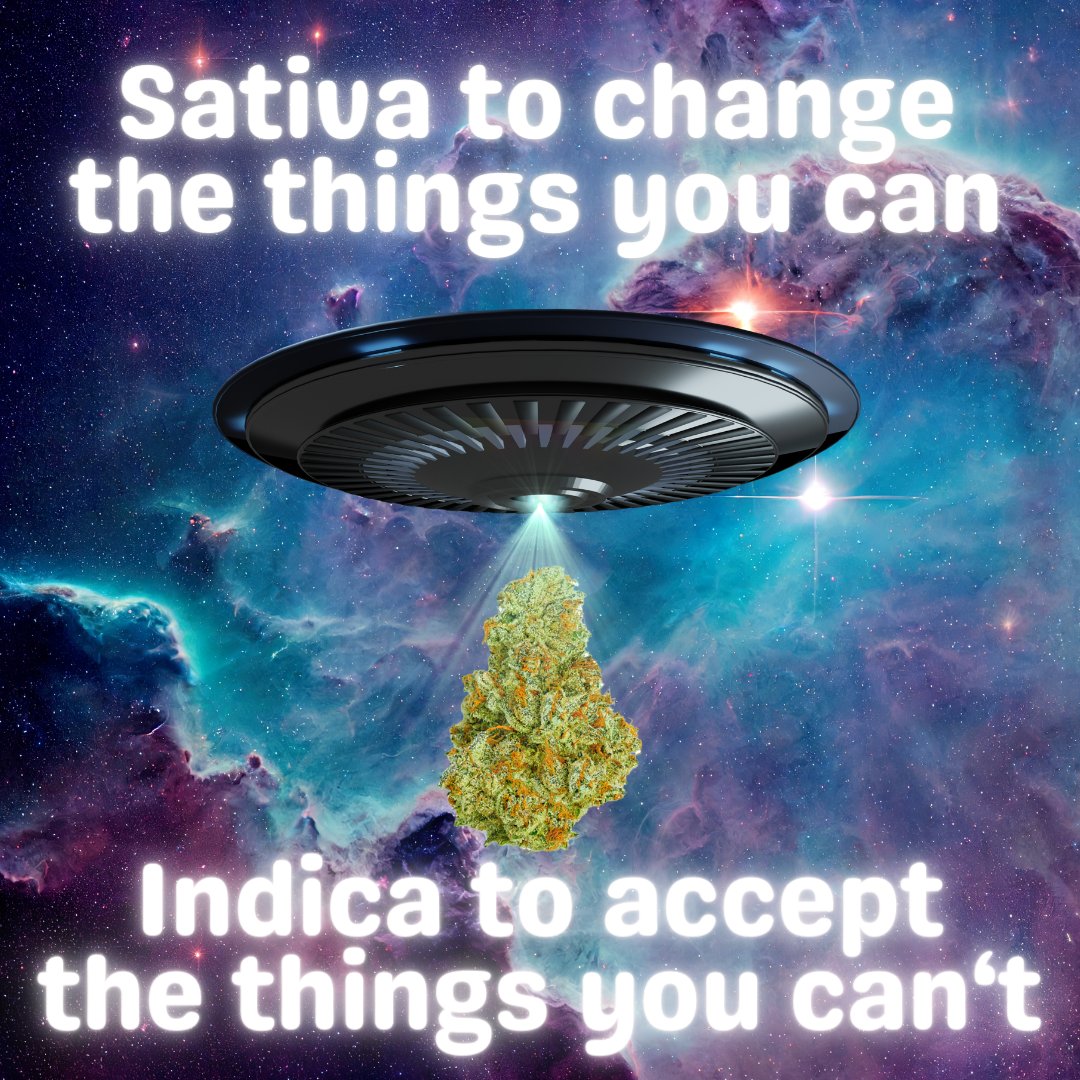 PlanetJane_'s tweet image. Reach for the stars, and find your peace among them. Sometimes, a little cosmic perspective is all we need. ✨🛸 

#StellarVibes #CosmicCalm #SpaceSerenity #GalacticGarden #StarSeeker #PeacefulPerspective #CelestialJourney #planetjane #michigan #planetjanemichican #ypsilanti