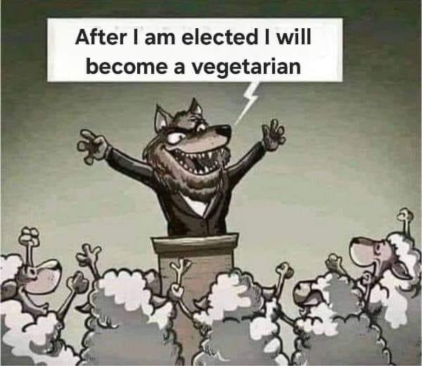 MisjaNL's tweet photo. Op naar de volgende verkiezingen! https://t.co/G5ajdFw8uq