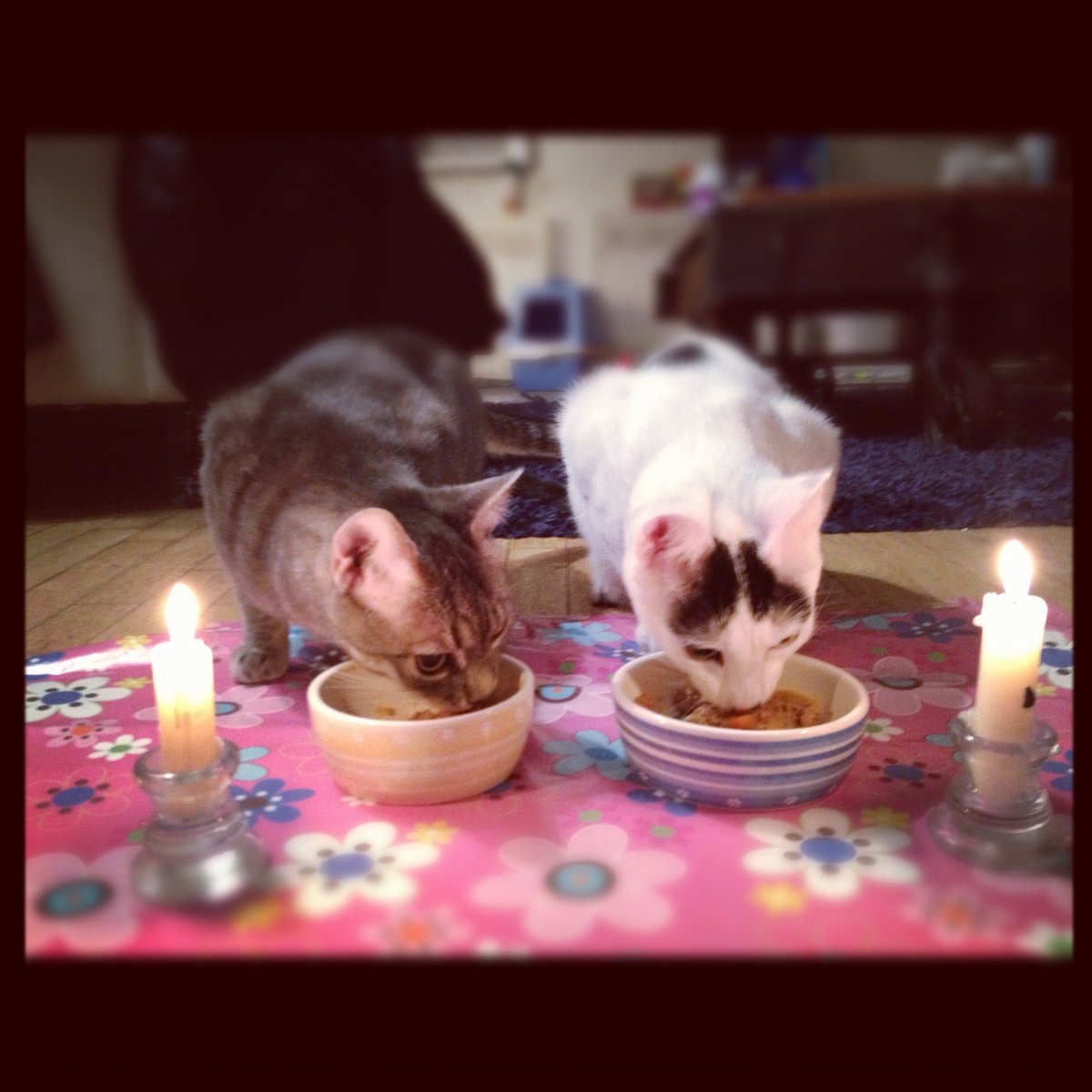 muneeb.btc tweet media