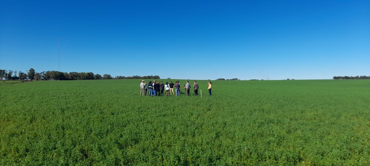PlanAgro's tweet photo. El pasado #jueves en📍San Pedro, Colonia

Se realizó la Jornada ¿Qué pastura sembrar?
✔️Elección de especie, mezcla, barbecho, fecha de siembra
🗣️Expuso Ing. Agr. Mag. Julio Perrachon, en 📌Viejo Almacén Buschiazzo

#CASSPE #PlanAgro https://t.co/3yAFeju4Px