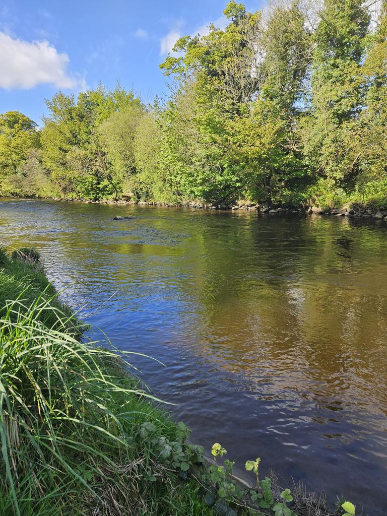 Today's post-work grounding spot. A treat for the senses.💕 Have a beautiful Tuesday xo