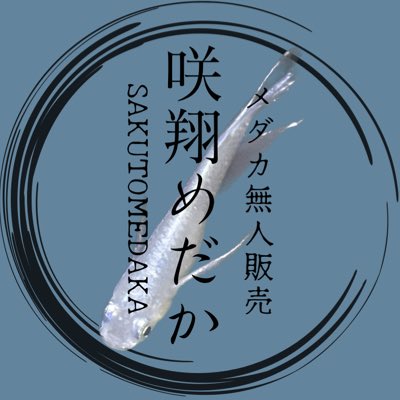 MEDAMEDASH's tweet photo. #新しいプロフィール画像 https://t.co/dzKEl2Owoe