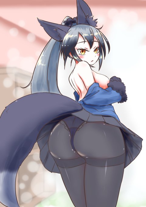 ギンギツネとの遭遇 