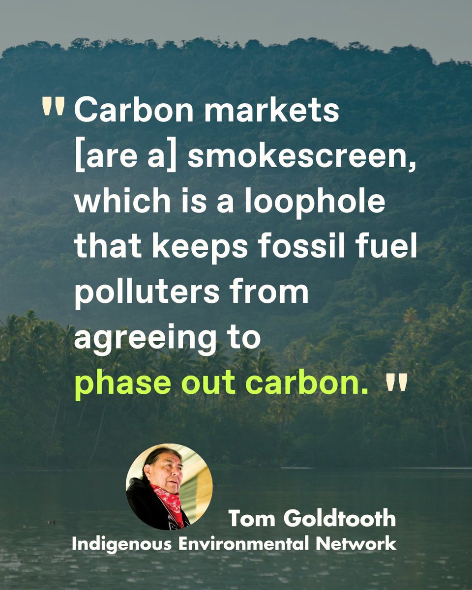 🌿 Indigenous leaders are speaking out against false climate solutions like carbon markets. At the UN Permanent Forum on Indigenous Issues, Tom Goldtooth and the @IENearth called for a long overdue switch-up. 🌍 🛑 Carbon markets are not only ineffective in mitigating climate…