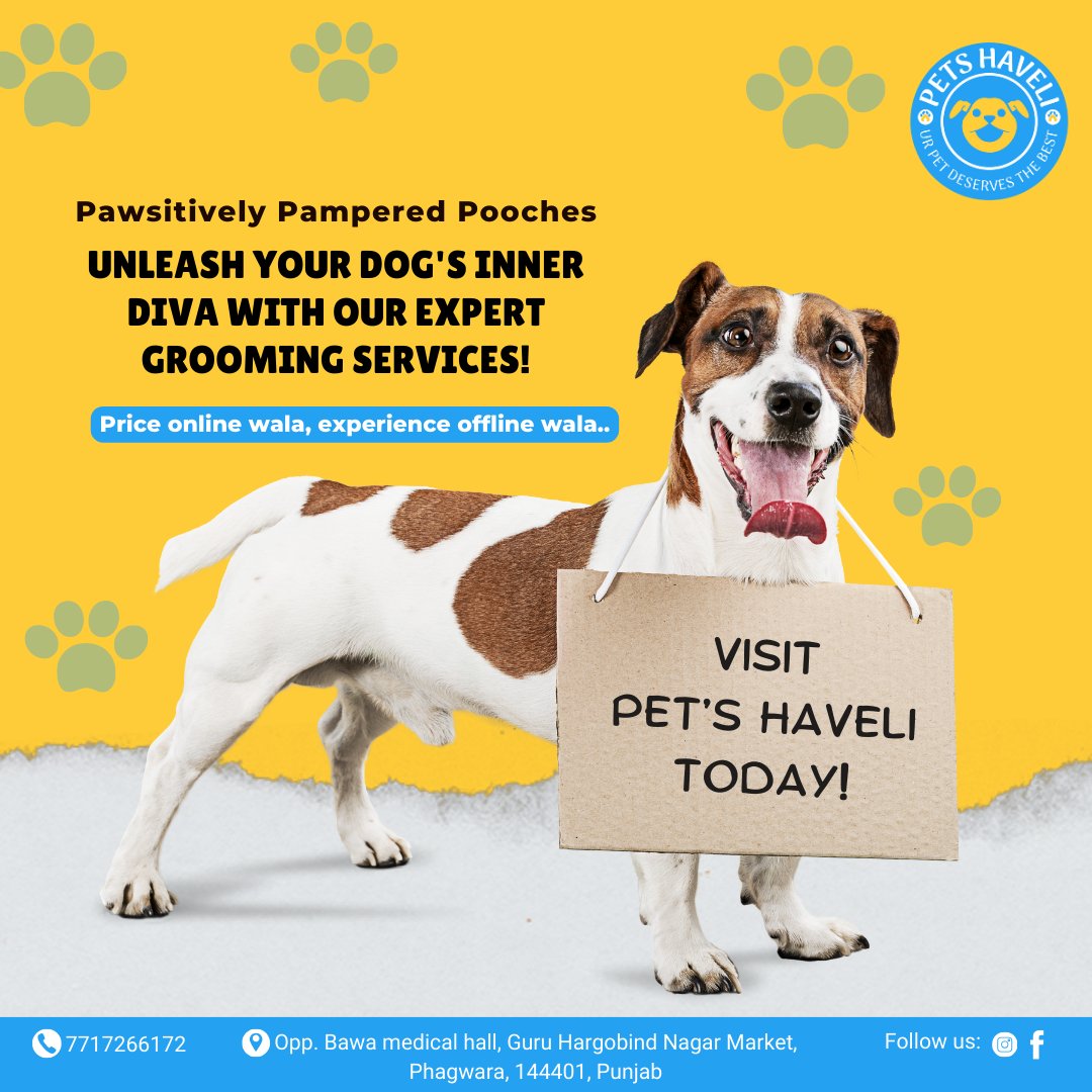 Pawsitively Pampered Pooches
Unleash your Dog's inner diva with our expert grooming service!

Price online wala, experience offline wala..

#Petshaveli #Phagwara #Punjab #petstore #petshop #pets #petaccessories #petsupplies #petcare #petproducts #shoplocal #catfood #Cats #shoppin