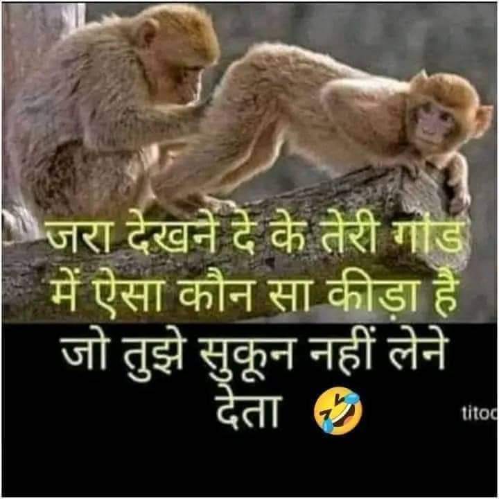 pathanshan111's tweet photo. @SureshChavhanke https://t.co/sJN6MiLYF2