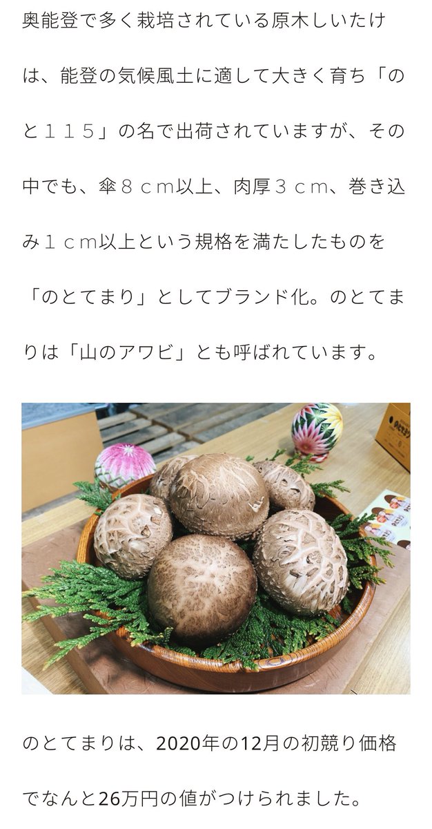 hiro_riddle's tweet photo. 【椎茸秘話】
大変好評いただいている原木椎茸ですが、産地と規格は違いますが同じ品種の椎茸なんですよ...
初競りで25万円😱😱😱
#信州上田原木椎茸栽培部
#Ctake https://t.co/oz6RgtCsot