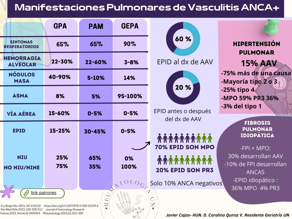 Cada vez mas no s damos cuenta de la importancia del compromiso pulmonar en las vasculitis ANCA. 🫁🩸 -Cambia el pronostico y manejo -Se presenta antes que la vasculitis -Puede simular una FPI -Puede complicarse con HTP -Compromete vía aérea 👇👇