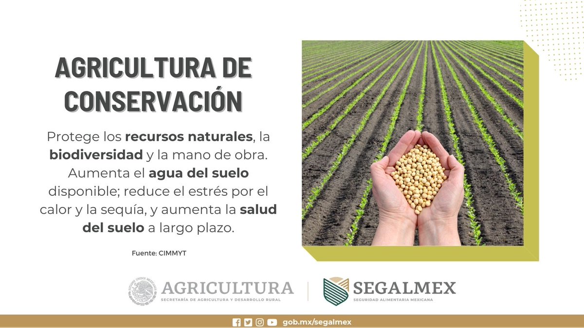 Si no se practica de manera sustentable, la #Agricultura puede afectar al medio ambiente, producir gases de efecto invernadero y contribuir al cambio climático. ☝️♻️Existe una alternativa: la ¡#AgriculturaDeConservación!