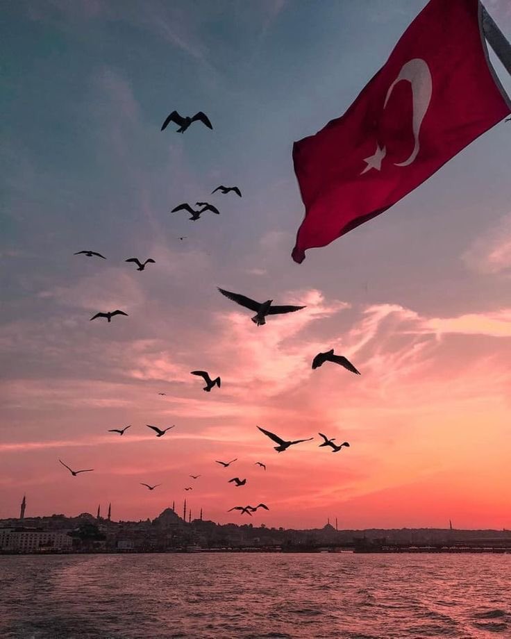 Mutlu Akşamlar ☕️🌷☘️🧚‍♀️🎈🇹🇷