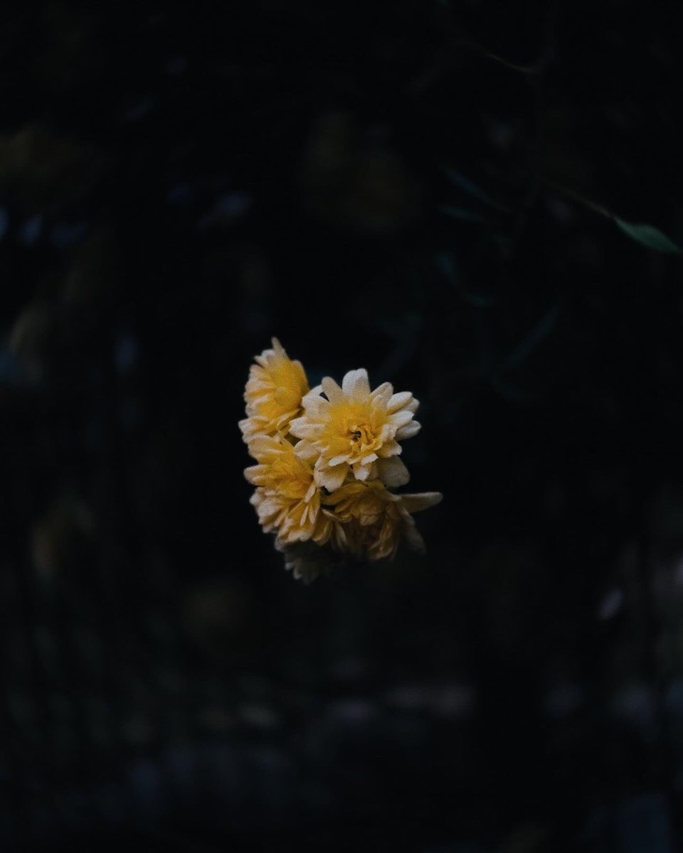 cinemaresque3's tweet photo. processed by iPhone https://t.co/LJNoj7t7fR