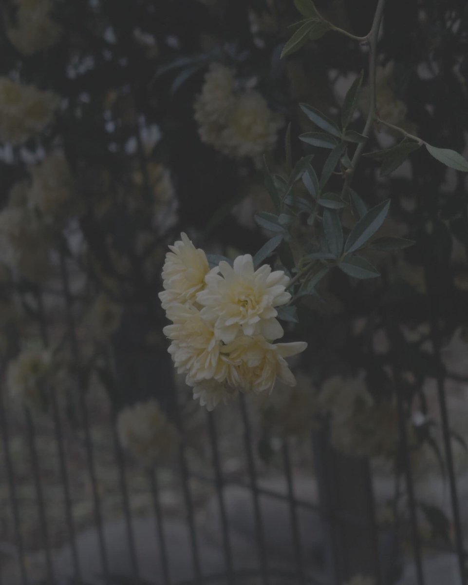 cinemaresque3's tweet photo. processed by iPhone https://t.co/LJNoj7t7fR