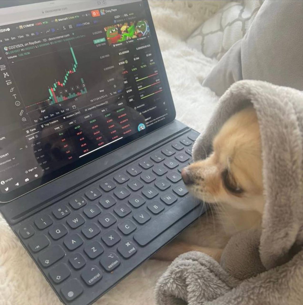 cozypepecoin's tweet photo. Diamond paws 💎

https://t.co/HinL0iMOxL

$COZY $PEPE $MUMU $APU $GUMMY https://t.co/xxnGr1Cf5M