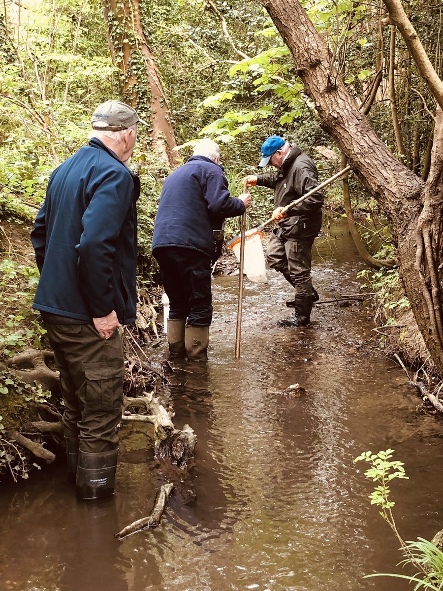 A huge thanks to the fantastic #CitizenScience River Rangers who are helping us monitor the health of our streams and rivers 🐟💦 You were all amazing on your Riverfly training day 🤩🥳 For more info about our citizen science projects please contact jo.owens@oart.org.uk 🌱💧