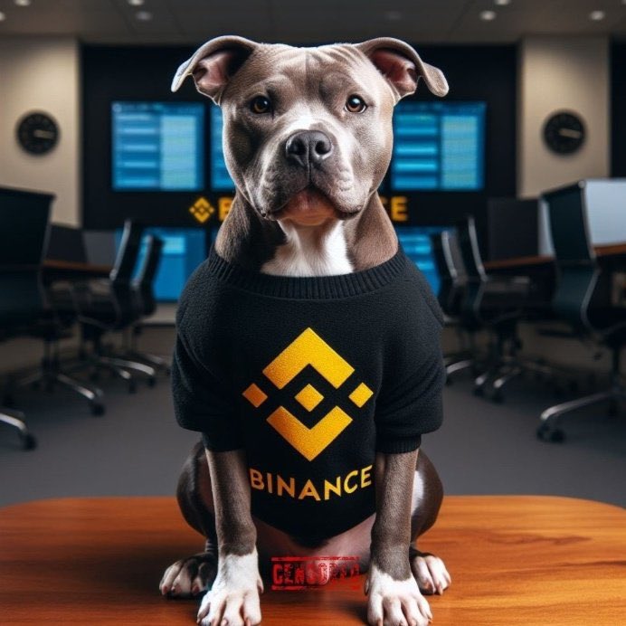 @BinanceTR #pitbulltoken #pit $pit nedenmi ✅🫵👇👇 
@BscPitbull @BscPitbull_Eur @Pitbull_TURK