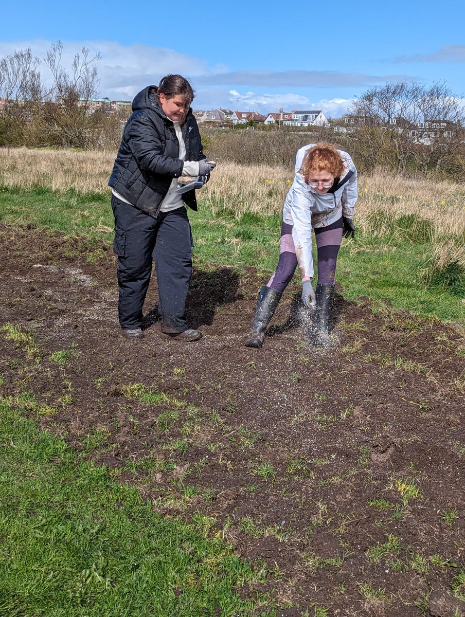 Last weekend #BuglifeScotland #AberdeenBLines Conservation Officer, Ruth, was joined by a lovely group of volunteers at #DonmouthNatureReserve for a seeding event.

🌼 It was hard work, but the volunteers were amazing!

Find out more👇
buglife.org.uk/projects/aberd…

🧵/1