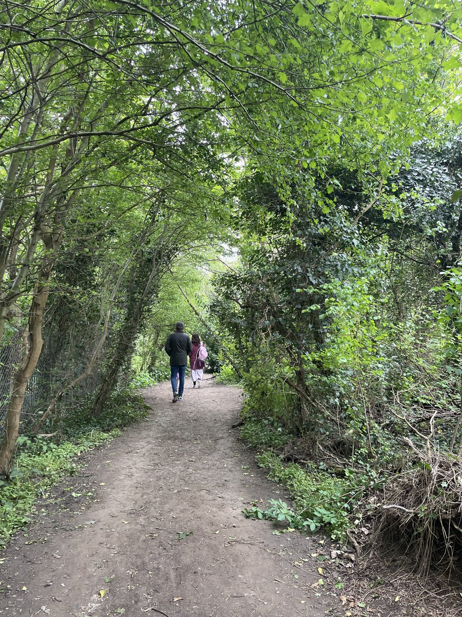 A stroll in the woods.