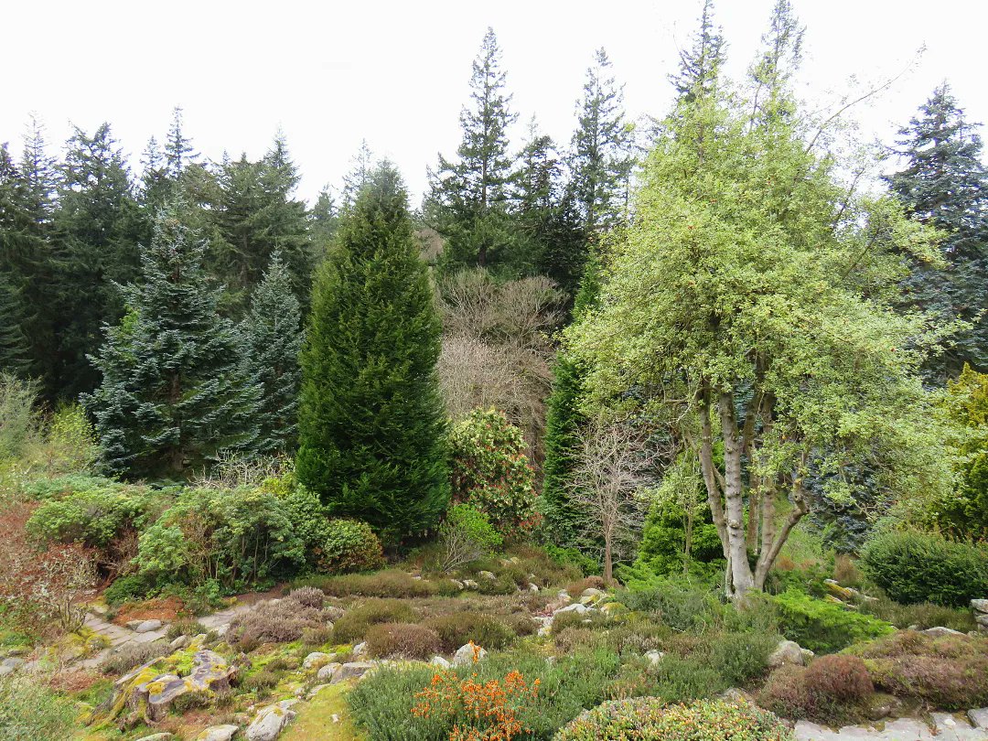 MJayne_21's tweet image. Cragside in Northumberland for my 30th birthday weekend. 
#pwme #mecfs #dynamicdisability #nationaltrust #ambulatorywheelchairuser