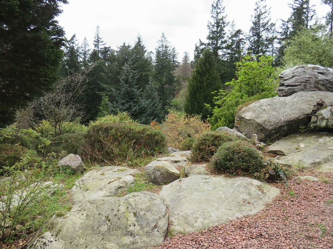 MJayne_21's tweet image. Cragside in Northumberland for my 30th birthday weekend. 
#pwme #mecfs #dynamicdisability #nationaltrust #ambulatorywheelchairuser