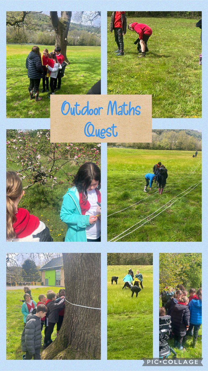 Heddiw, we took our learning outside. We were investigating if the height of a tree is three times the size of its width! Excellent use of our measuring skills and rydyn nin cael llawer o hwyl! Da iawn Dosbarth Llew eto!#outdoorlearning#maths#fun#dosbarthllew