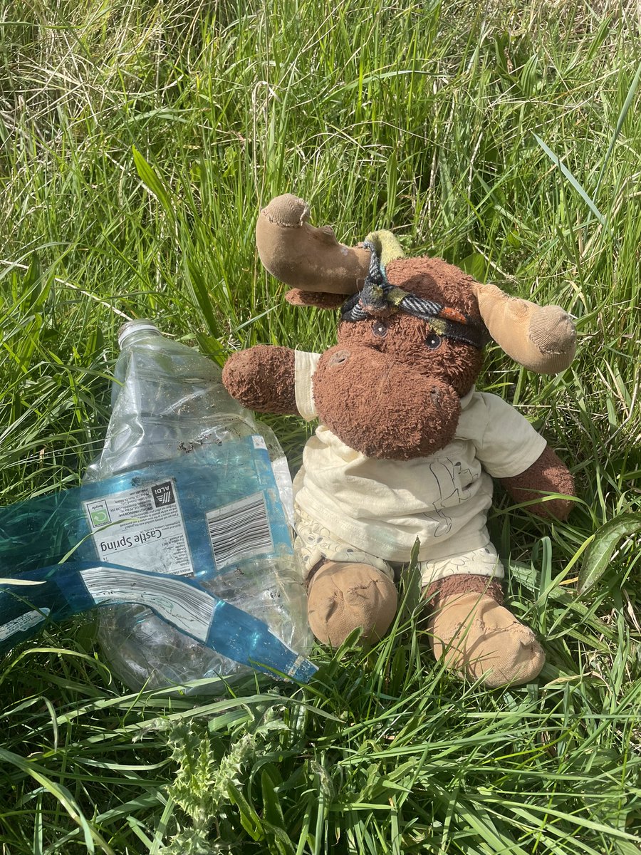 If you can spot the difference ? #litter you can save lives of 🐦🦢🦭🐬 🐇 🦔 🐁 @KeepBritainTidy @NlandTogether @RSPBNews @mcsuk @Stevewal63 @des_farrand @endelstamberg @ArgyllSeaGlass @Leonlovescats @Hyperion_PSN @raynathetrainer @harding_rowena @JasperManUtd @GillianRodgers8