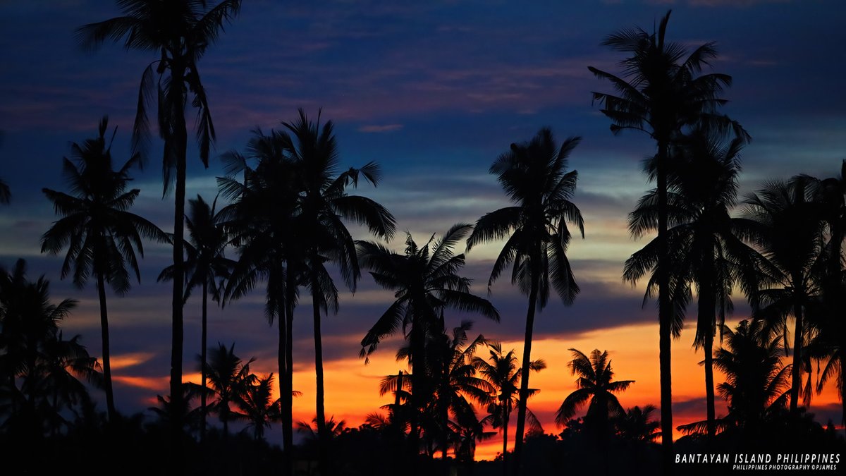 Island Life Therapy: The simple Dark Blue & Candy Orange Sunset on Bantayan Island Cebu, The Philippines. 1Dx Mark II #ThePhotoHour #travelphotography #IslandLife #bantayanisland #bantayan #photography #StormHour #ShotOnCanon #islandlife @TourismPHL #SunsetViews #Tuesday