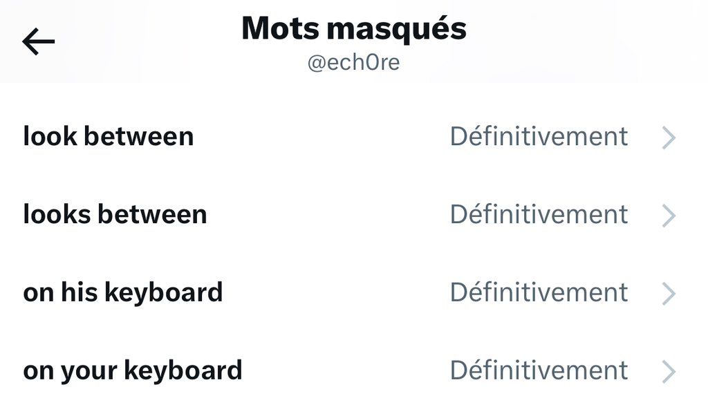 Ech0 tweet media