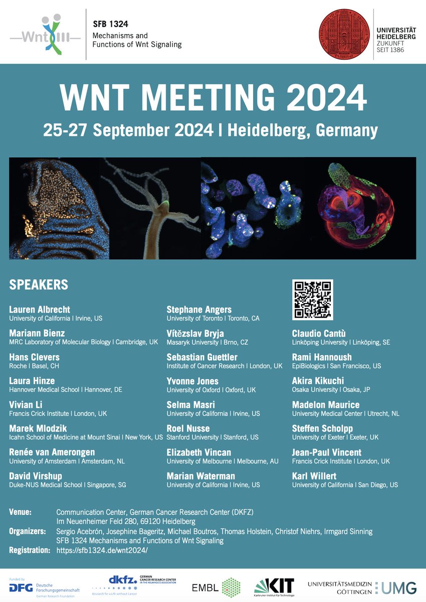 Standing next to Wnt signalling legends at this conference and pretty sure I'm the only one who needs a stool to reach the podium... @sfb1324 sfb1324.de/wnt2024/ #Wnt @UK_Wnt @LSI_Exeter @UoEBiosciences @WntPublications