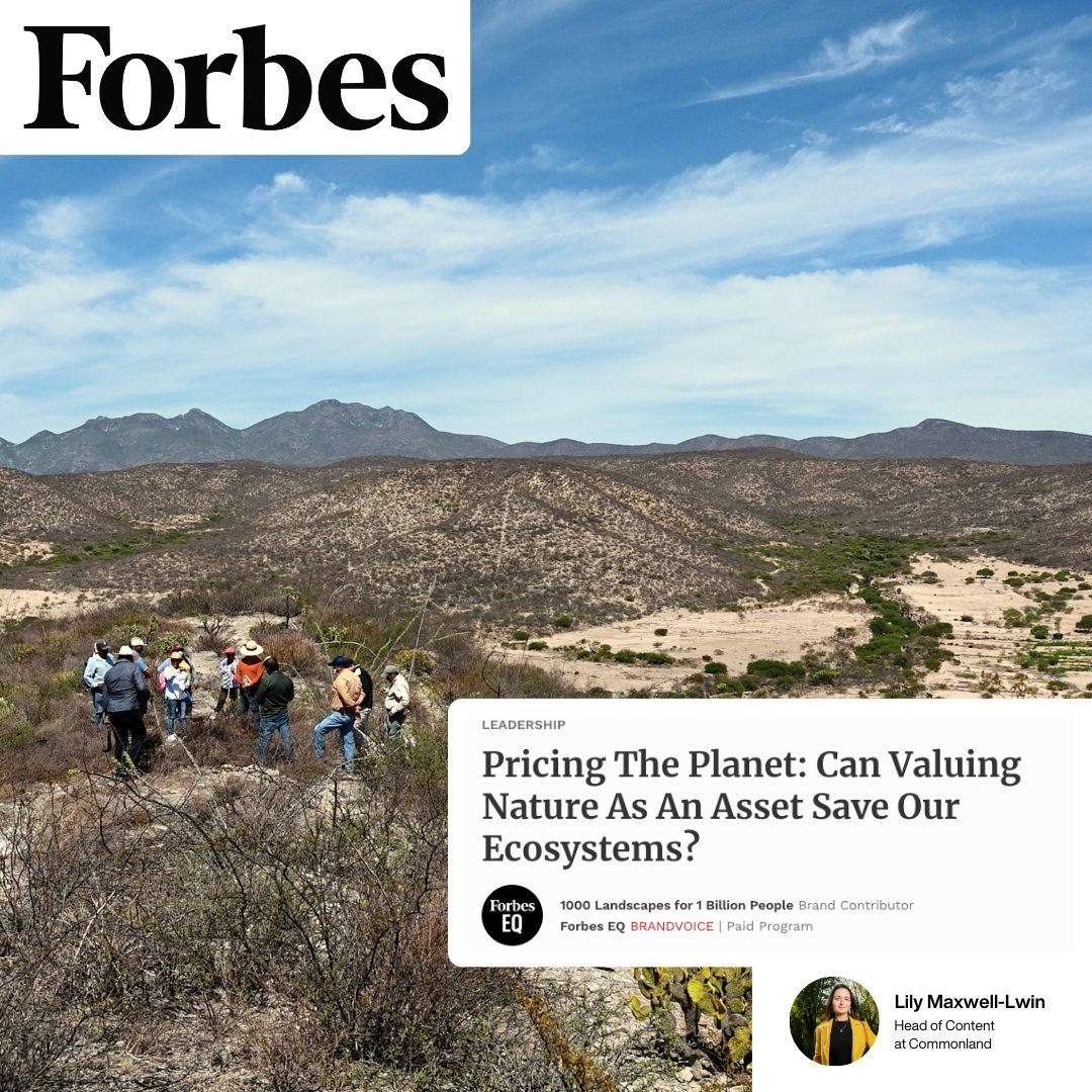 Do you think valuing nature as an asset is the way to save it? Read more here 👉 forbes.com/sites/forbeseq… #Biodiversity #Finance #Sustainability #LandscapeFinance