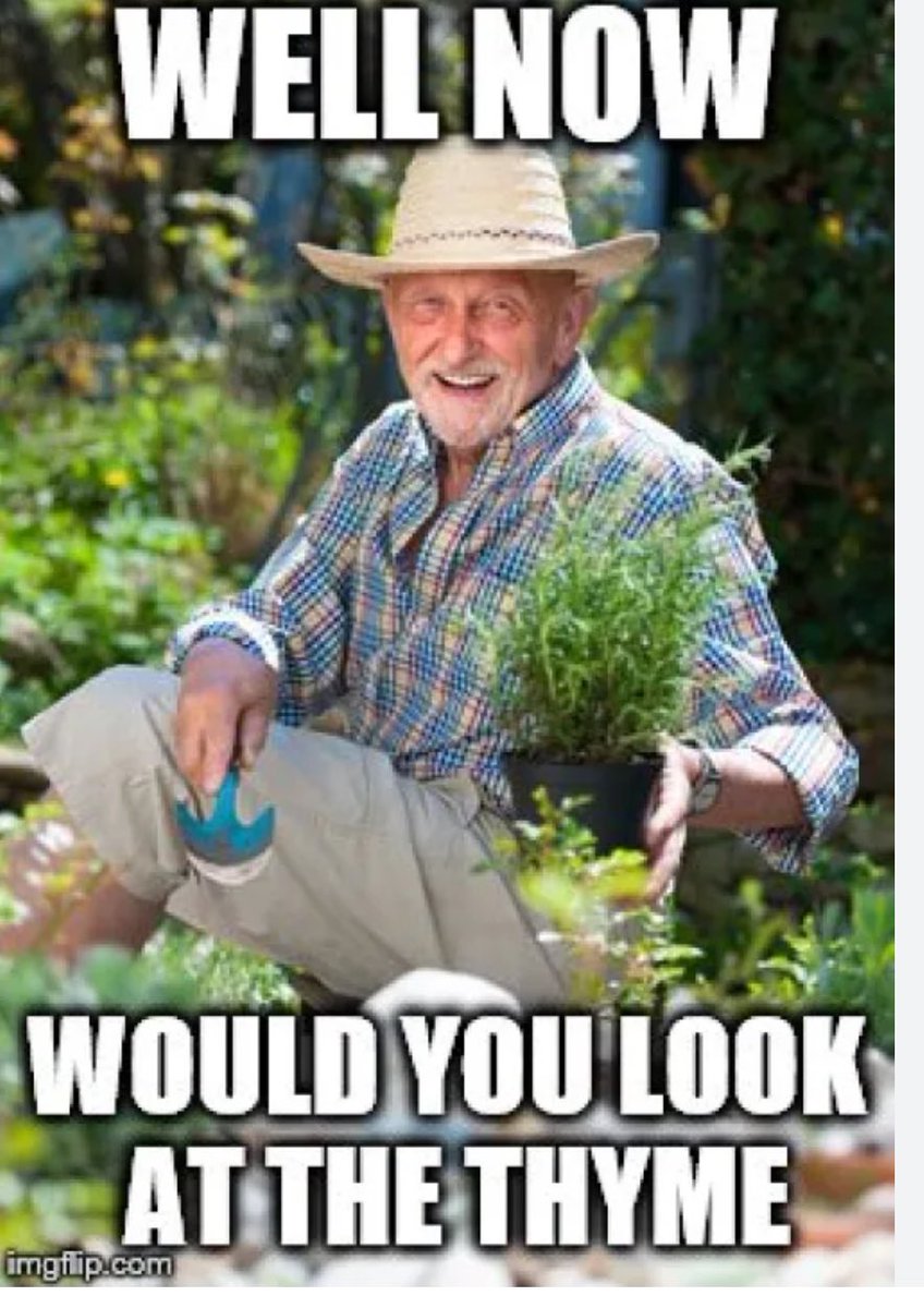 Mary Ellen Henderson PTA tweet media