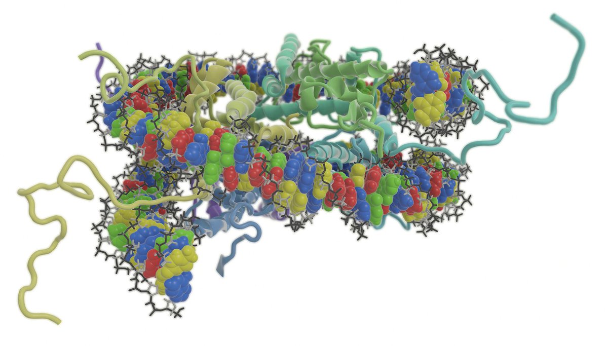 #VIAMD Visualization of a #MD simulation performed with <a href="/GMX_TWEET/">GROMACS</a> of 1KX5 PDB, Nucleosomal DNA. #compchem