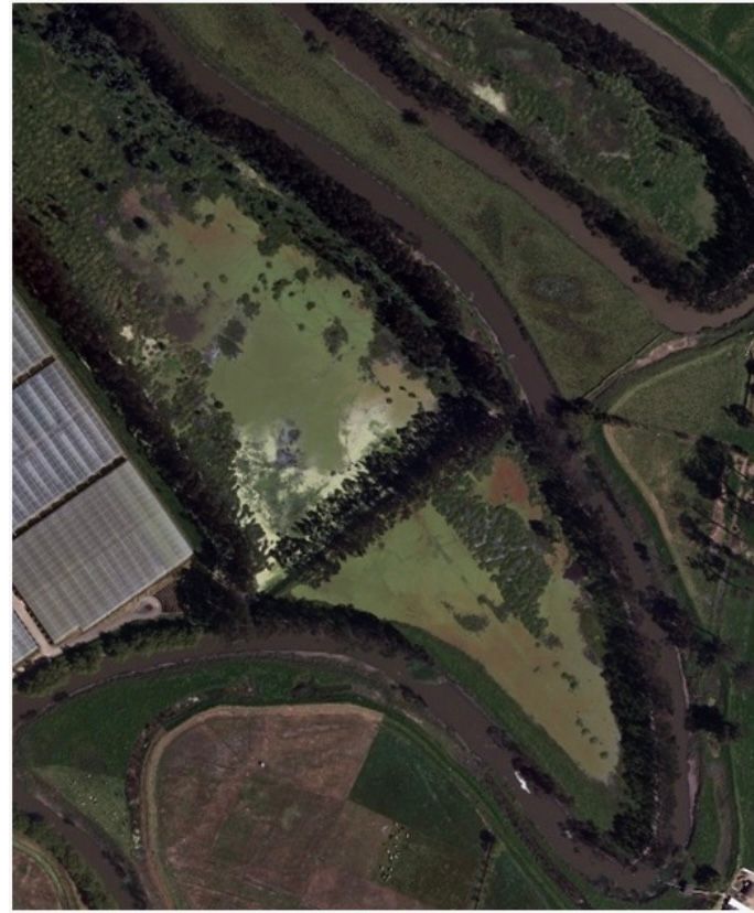 <a href="/VeedurChingaza/">Veeduria Chingaza</a> <a href="/Accenorte/">Concesión AcceNorte S.A.S.</a> <a href="/ANI_Colombia/">Agencia Nacional de Infraestructura</a> <a href="/tacundinamarca/">Tribunal Adtvo. de Cundinamarca | TAC</a> <a href="/personeriachia/">Personería Municipal de Chía</a> <a href="/susanamuhamad/">Susana Muhamad</a> <a href="/ANLA_Col/">ANLA</a> <a href="/AlcaldiaChia/">Alcaldía de Chía</a> <a href="/inst_humboldt/">Instituto Humboldt</a> <a href="/CNDJ_Col/">Comisión Nacional de Disciplina Judicial</a> <a href="/judicaturacsj/">Rama Judicial</a> <a href="/petrogustavo/">Gustavo Petro</a> <a href="/wcamargotriana/">William Camargo Triana.</a> <a href="/RodrigoENegrete/">Rodrigo E Negrete</a> <a href="/LigaNoSilencio/">La Liga Contra el Silencio</a> <a href="/elespectador/">El Espectador</a> <a href="/DanielSamperO/">Daniel Samper Ospina</a> <a href="/CAR_Cundi/">CAR Cundinamarca</a> <a href="/RamsarConv/">Convention on Wetlands</a> <a href="/CREHORamsar/">Centro Regional Ramsar - Hemisferio Occidental</a> <a href="/unep_espanol/">Programa ONU Medio Ambiente</a> <a href="/RELE_CIDH/">Relatoría Especial p/la Libertad Expresión (CIDH)</a> <a href="/estoescambio/">Cambio</a> <a href="/JuanPabloCalvas/">Juan Pablo Calvás</a> <a href="/NoticiasUno/">Noticias Uno</a> <a href="/STransparencia/">Secretaría de Transparencia</a> <a href="/PLineAmbiental/">Primera Línea Ambiental Colombia.</a> <a href="/WRadioColombia/">W Radio Colombia</a> <a href="/RedNalAguaCol/">🏳️RedNalAguaCol #AguaparaelFuturo</a> <a href="/PGN_COL/">Procuraduría General de la Nación</a> <a href="/acciondirekta/">Carlos Nicolás Casas</a> <a href="/riosyhumedales/">Congreso Ríos y Humedales</a> <a href="/cuestion_p/">Cuestión Pública</a> <a href="/MinAmbienteCo/">MinAmbiente Colombia</a> @COP16Colombia <a href="/CMNUCC/">ONU Cambio Climático</a> <a href="/InSightCrime_es/">InSight Crime Español</a> <a href="/igacColombia/">Instituto Geográfico Agustín Codazzi - IGAC</a> <a href="/CundinamarcaGob/">Gobernación de Cundinamarca</a> <a href="/arcgis/">ArcGIS</a> <a href="/unisabana/">Universidad de La Sabana</a> <a href="/FiscaliaCol/">Fiscalía Colombia</a> <a href="/mmustafal/">M Mustafá</a> <a href="/alexandravasoch/">Alexandra Vásquez</a> <a href="/JorgeEmilioRey/">Jorge Emilio Rey Ángel</a> <a href="/LeoA_Donoso/">Leonardo Donoso Ruiz</a> <a href="/concejochia/">@concejochia</a> Ahora bien, hace un año el <a href="/inst_humboldt/">Instituto Humboldt</a> determina que esa zona pantanosa desconocida dolosamente por la <a href="/CAR_Cundi/">CAR Cundinamarca</a> y el @iGAC al servicio del #CartelCarretero, SÍ ES UN HUMEDAL en estado crítico que debe ser rehabilitado y restaurado como sus flujos de agua deben ser