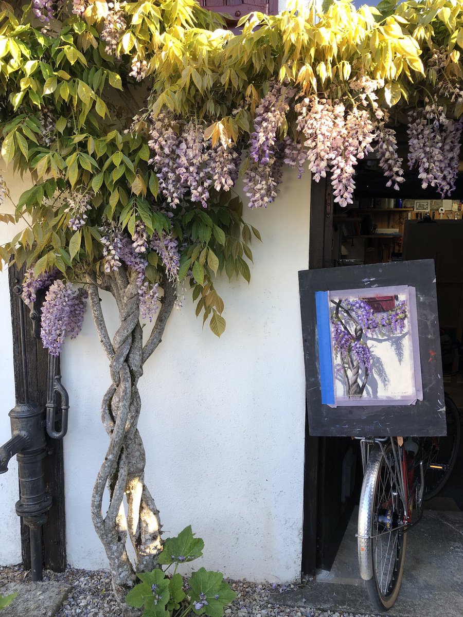 The bikeshed wisteria pastel is finished, maybe time to do another one now the leaves are out.