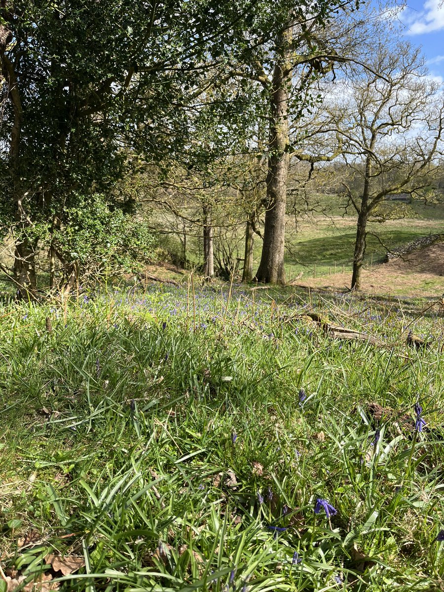 36clare's tweet photo. Beautiful day 🌅🤩 https://t.co/Ix8Pa0KsvE