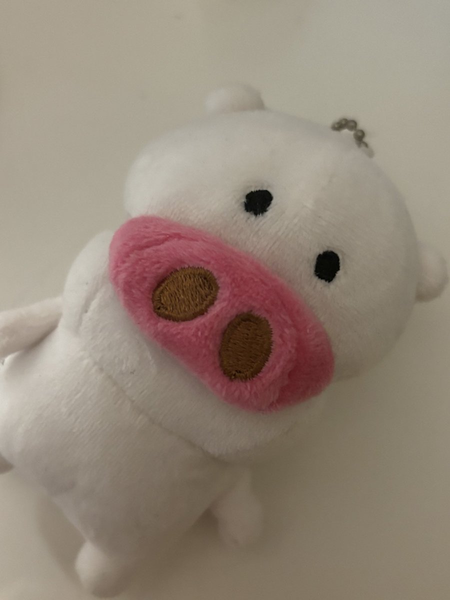 kuki_5_2's tweet photo. 저는 농담곰 놀리기 자격증을 갖고 있어요.. https://t.co/ahltdLr97K