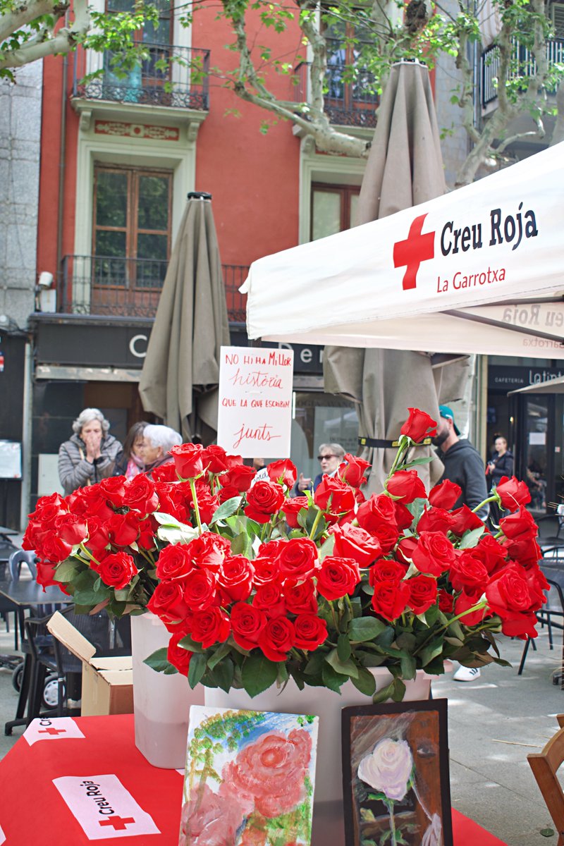 _parra88's tweet photo. 🌹Un any més els carrers d'Olot s'omplen de roses per Sant Jordi.
@ICONNA1 https://t.co/e7tHaNDzt9