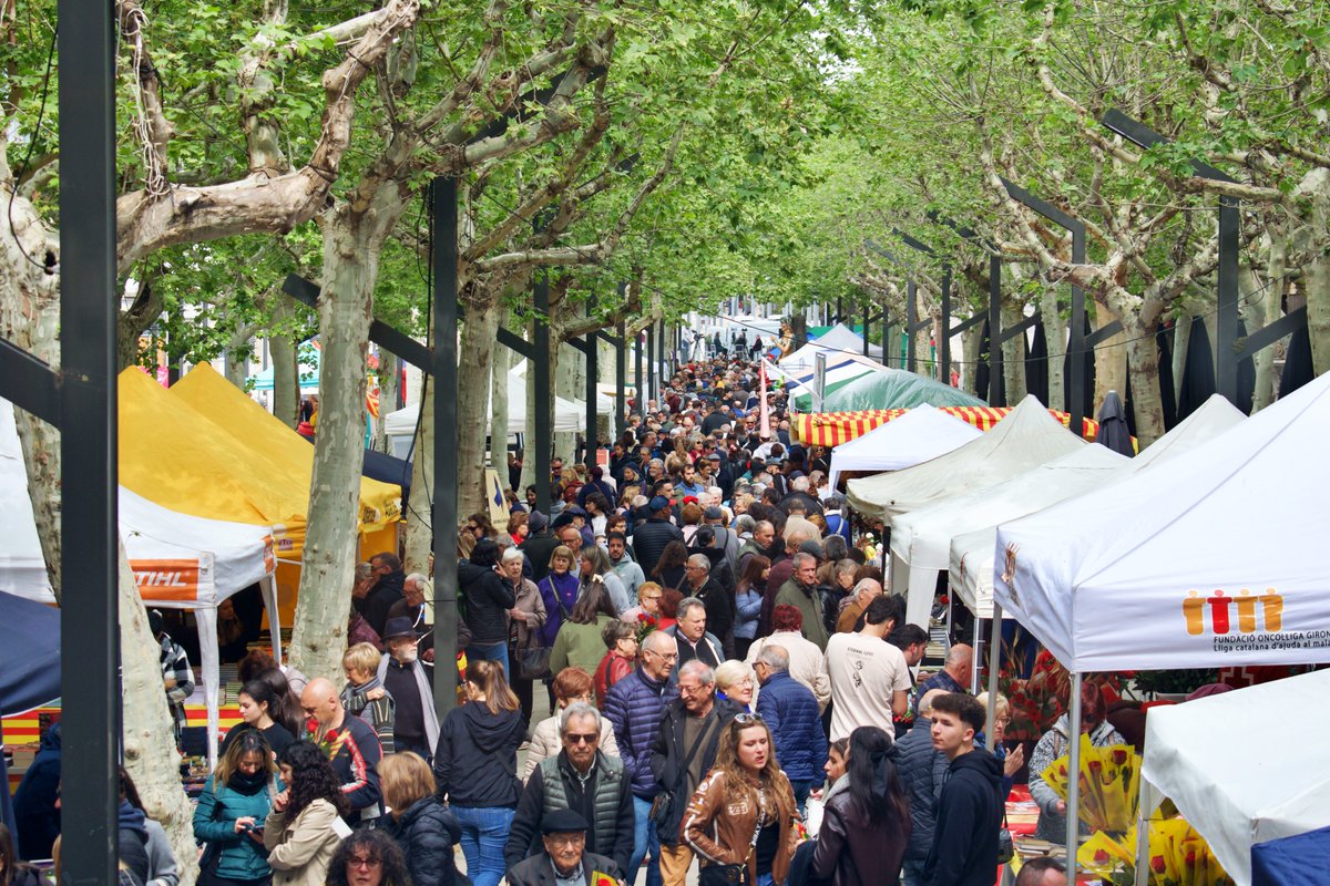 _parra88's tweet photo. 🌹Un any més els carrers d'Olot s'omplen de roses per Sant Jordi.
@ICONNA1 https://t.co/e7tHaNDzt9