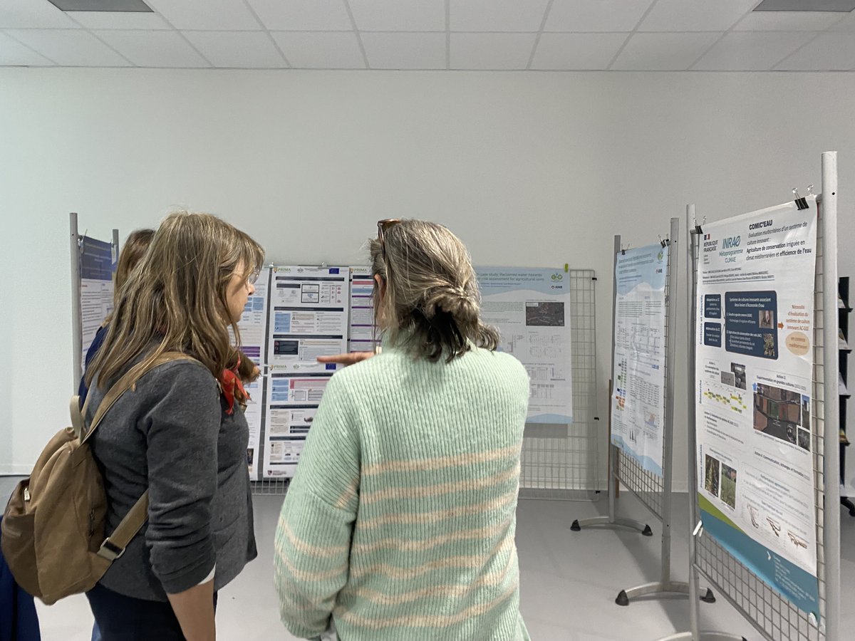 MAGO Prima Project tweet media