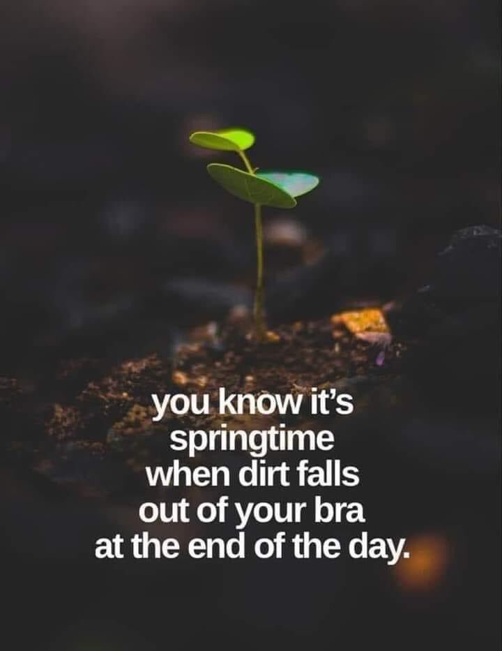 Sarahflowers50's tweet photo. 🤣 not much chance of that happening with all this rain 🤦🏻♀️
#ABitOfFun https://t.co/8QSimJ1KaD