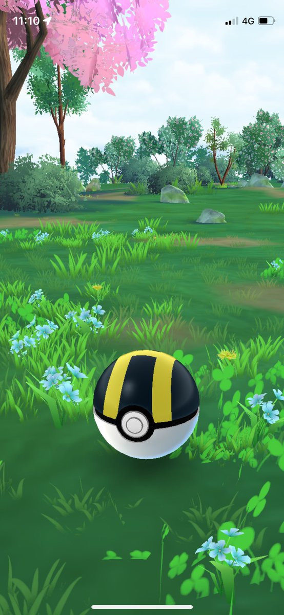 lizziemcs's tweet photo. @trnrtips A forest, a misplaced Squirtle and a bonus four-leaf clover (no, it didn’t bring me any shiny luck) https://t.co/NGSj2kKaTi