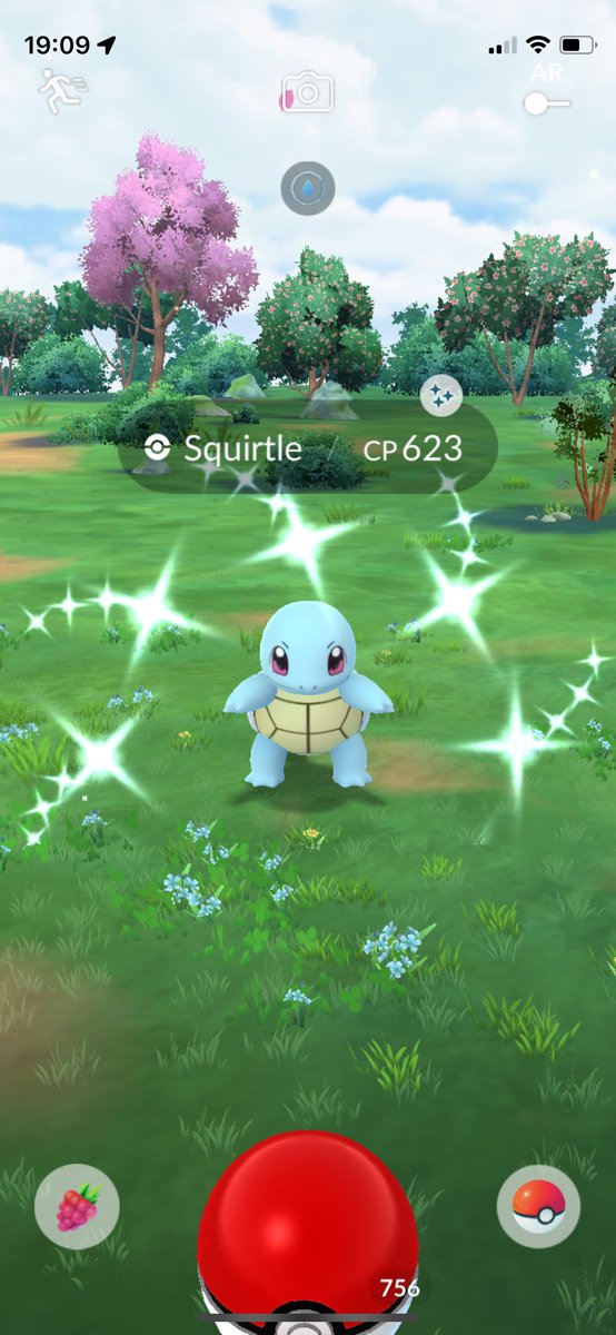 lizziemcs's tweet photo. @trnrtips A forest, a misplaced Squirtle and a bonus four-leaf clover (no, it didn’t bring me any shiny luck) https://t.co/NGSj2kKaTi