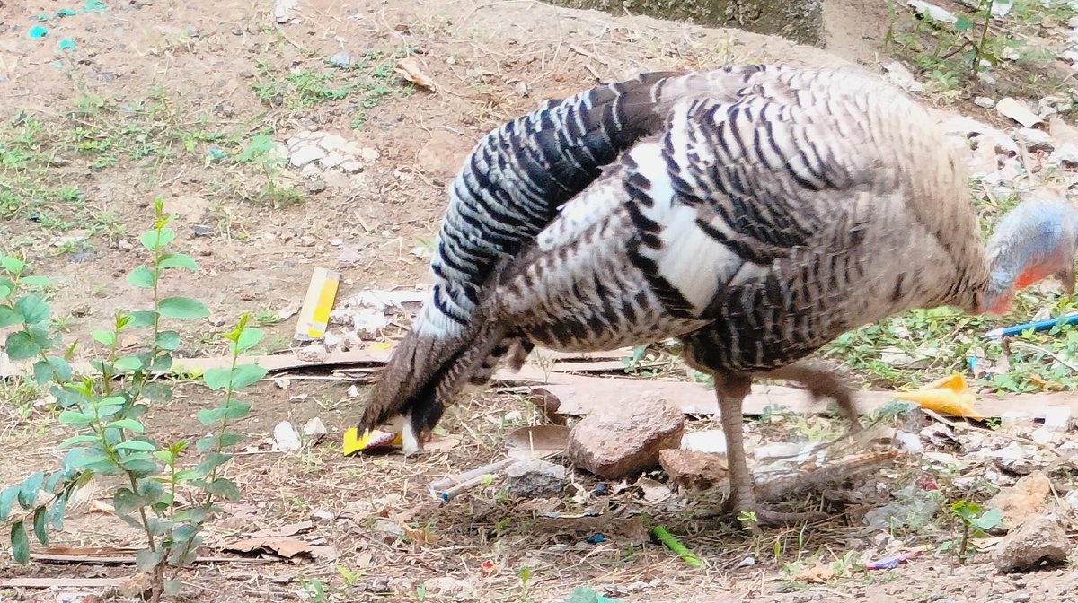 im_saraahh's tweet photo. Turkey ๐
#NatureBeauty #Turkey #oneplus9r #shotononeplus
#NatureLover #NatureLove https://t.co/bDhb8qzGD3